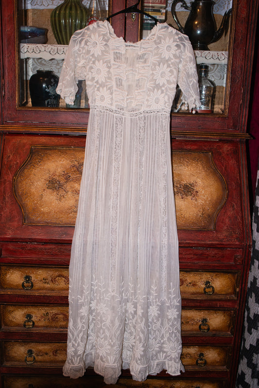 Clementine 1900s Edwardian Dress