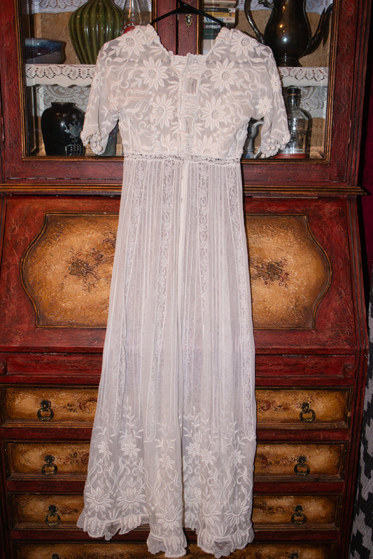 Clementine 1900s Edwardian Dress
